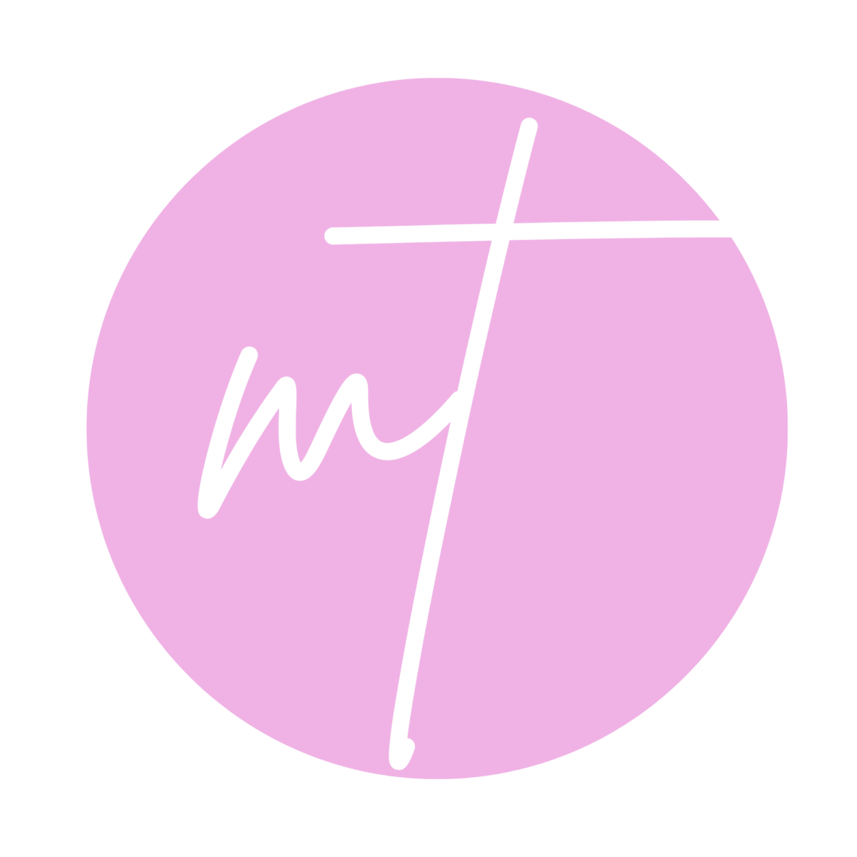 Logo Mt projets